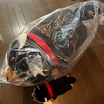Amazon.co.jp: ハッピーまめしば くじ 特賞 黒柴 ぬいぐるみ